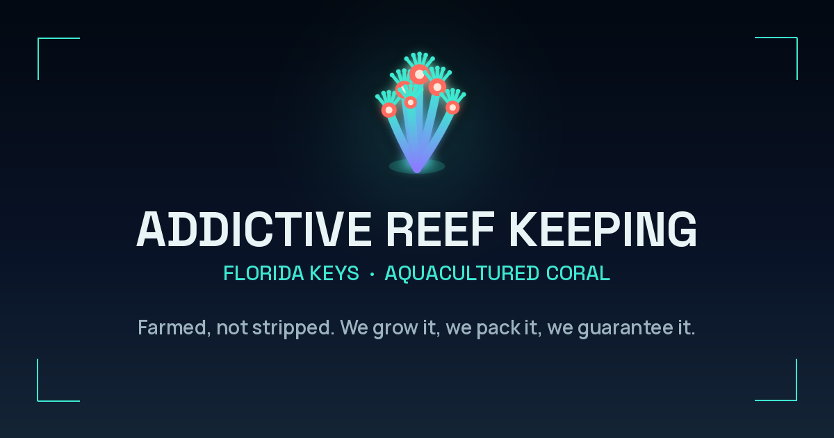 addictivereefkeeping.com