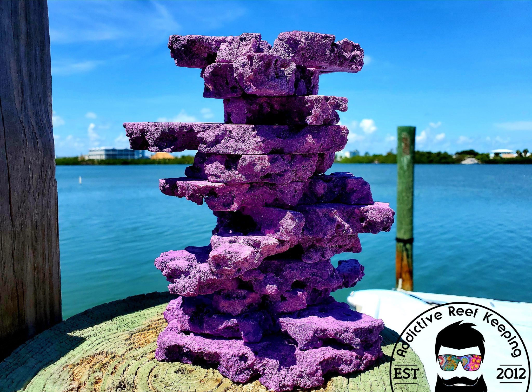 Unleashing the Power of Best Cleaning Aquarium Live Rock A