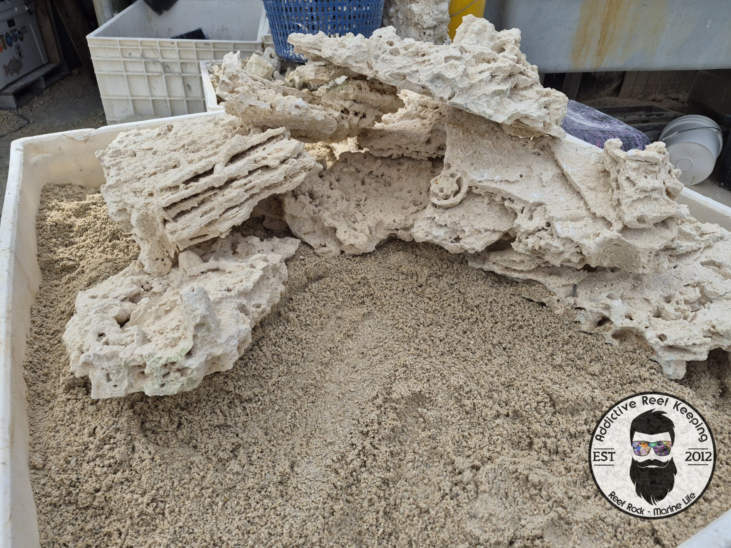 2026/01/8091-scaled.jpg 2026/01/8091-scaled.jpg