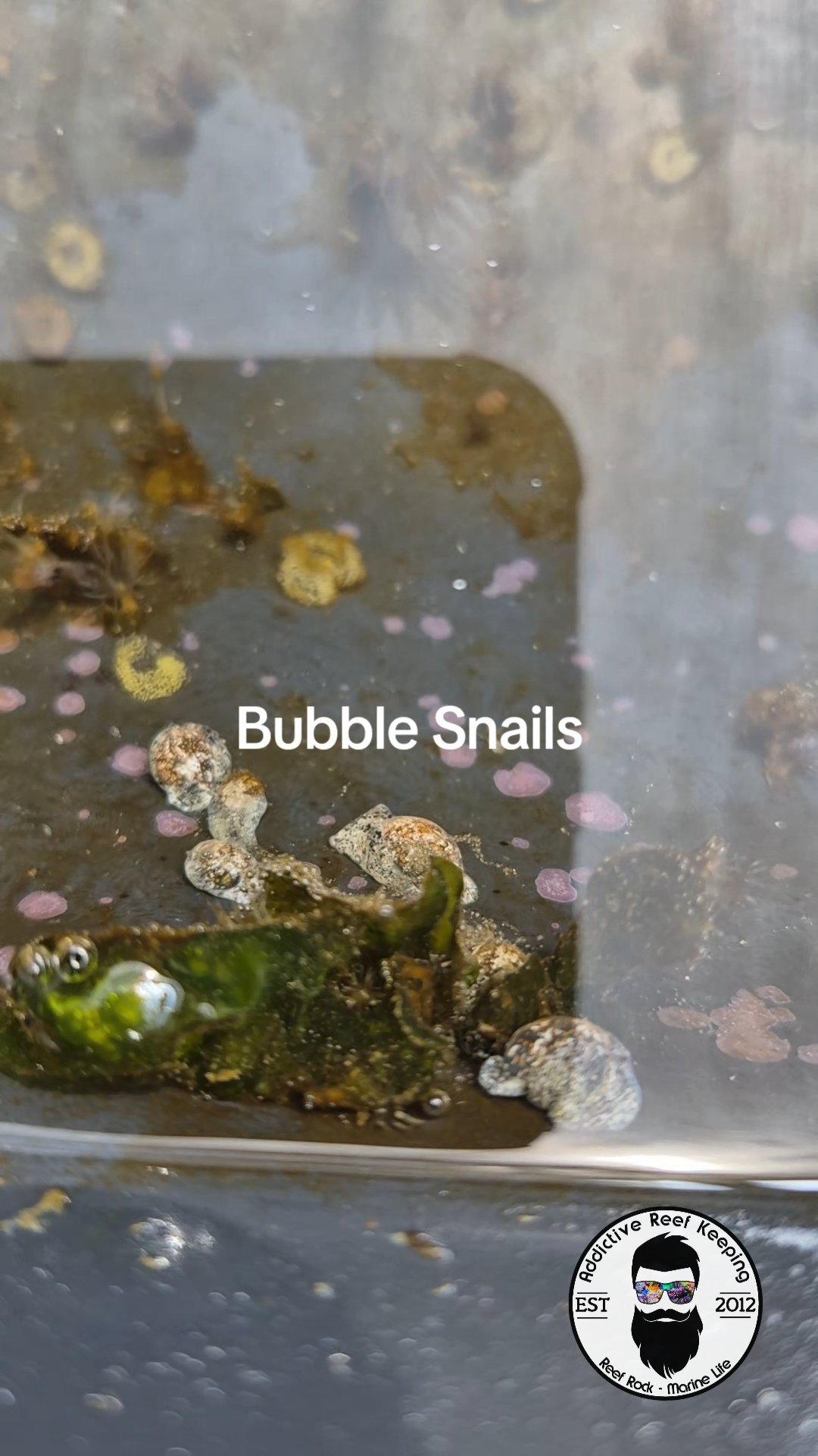 2026/04/9444.jpg 2026/04/9444.jpg