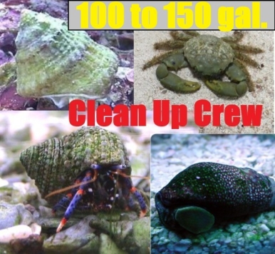 100