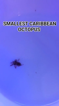 2025/04/1000007686.jpg