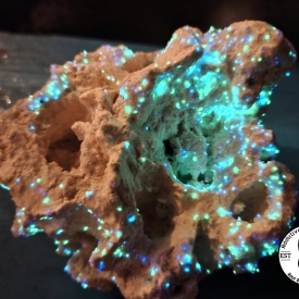 ARK Glowing Star Reef Rock- PICK SIZE AND WEIGHT