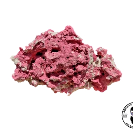 ARK Pink Reef Rock- PICK SIZE AND WEIGHT