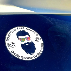 4″ ARK Bumper Sticker