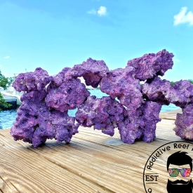 ARK Purple Dry Reef Rock- PICK SIZE AND WEIGHT