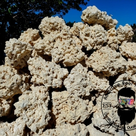ARK White DRY Reef Rock- Select Size and Weight