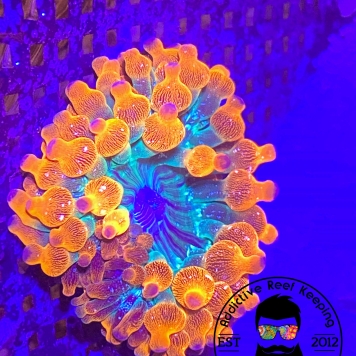 IMG_20200506_195534_374