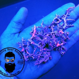 1lb UV Coralline Crushed Coral- Frag Media, Substrate