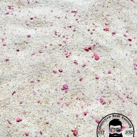 25lb. ARK Pink Aragonite Reef Sand – FINE Natural White/Pink Crushed Coral Sand
