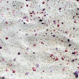 40lb. ARK Coralline Aragonite Reef Sand – FINE Natural White/Pink Crushed Coral Sand
