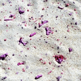 25lb. ARK Ocean Dreams Aragonite Reef Sand – FINE Natural White/Pink Crushed Coral Sand