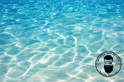 4.4gal Ocean SeaWater Natural LIVE Caribbean Marine Saltwater