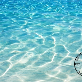 4.4gal Ocean SeaWater Natural LIVE Caribbean Marine Saltwater
