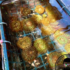 Photo_1653422017497