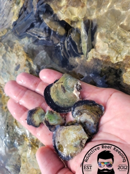 Photo_1655160725169