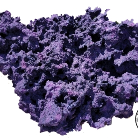 ARK Hawaiian Reef Rock- PICK SIZE AND WEIGHT