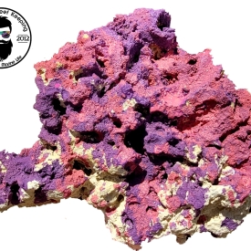 ARK Coralline Reef Rock- PICK SIZE AND WEIGHT