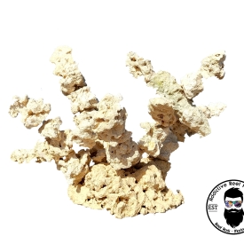 ARK Island Branch Rock Kit Dry Reef Rock Aragonite Base, Porous Aquariums Live