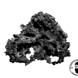 ARK Black Reef Rock- PICK SIZE AND WEIGHT