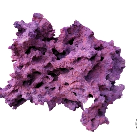 ARK Pink on Purple Reef Rock- PICK SIZE AND WEIGHT