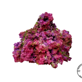 ARK Key Dreams Reef Rock- PICK SIZE AND WEIGHT