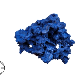 ARK Blue Reef Rock- PICK SIZE AND WEIGHT