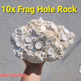 ARK Frag Rock- 10 Frag Holes- 9″× 8″