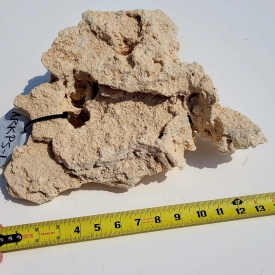 WYSIWYG Premium Shelf Rock- ARKPS-1 9.25lb