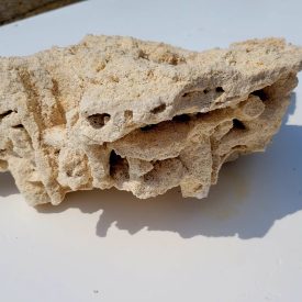 Photo_1684422596980