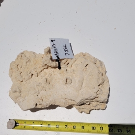 WYSIWYG Premium Shelf Rock- ARKPS-9 7.85lb