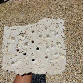 ARK Frag Rock- 20 Frag Holes- 11″× 8″