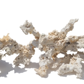 ARK Branch Reef Rock Assorted 10″ to 20″