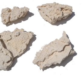 Small Premium Shelf Rock- 5lb Bag