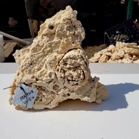 WYSIWYG Premium Shelf Rock- ARKPS-18 20.15lb 16x14x6.5″