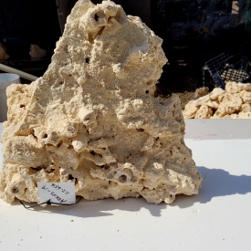 WYSIWYG Premium Shelf Rock- ARKPS-19 22.65lb 15x6x16″