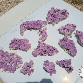 Photo_1723485449177