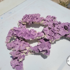 5lbs. Purple ARK Tower Blox Dry Shelf Rock Aragonite, Lightweight, Porous, Aquariums Live