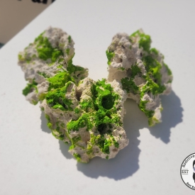 ARK Green Spot Reef Rock- PICK SIZE AND WEIGHT